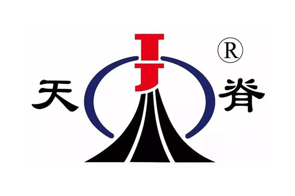 山西天脊煤化工集團有限公司