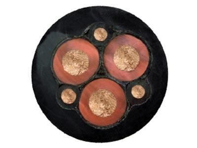 14570799241356.png 11.png